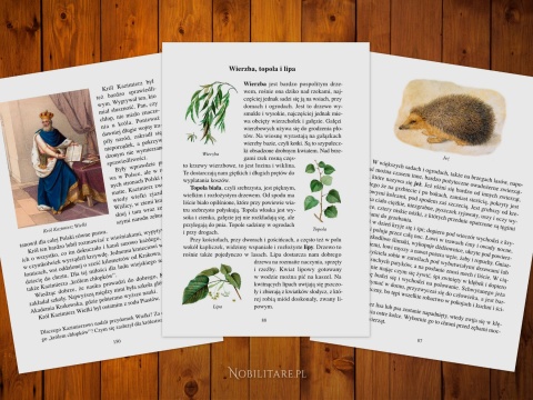 Czytanka druga + obrazek